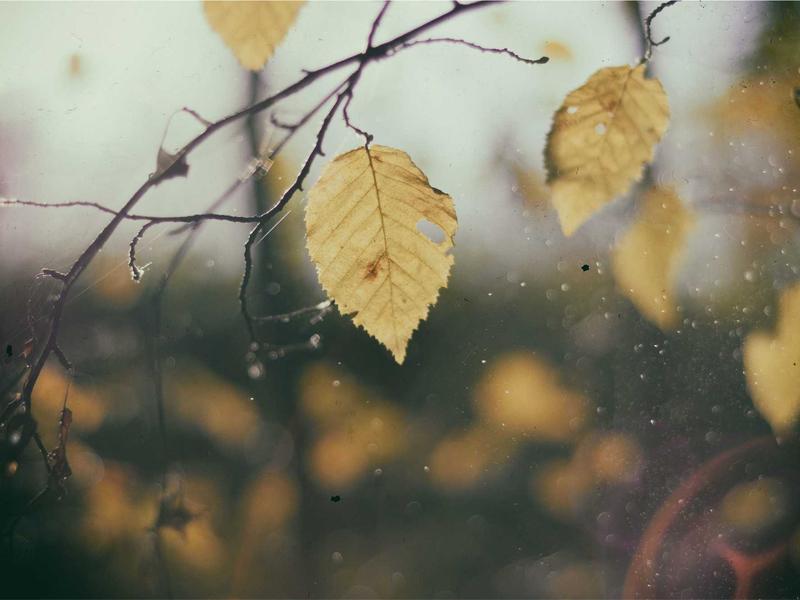 Notions de marché